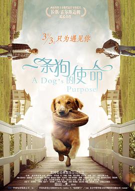 chinese妍妍国产女王调奴